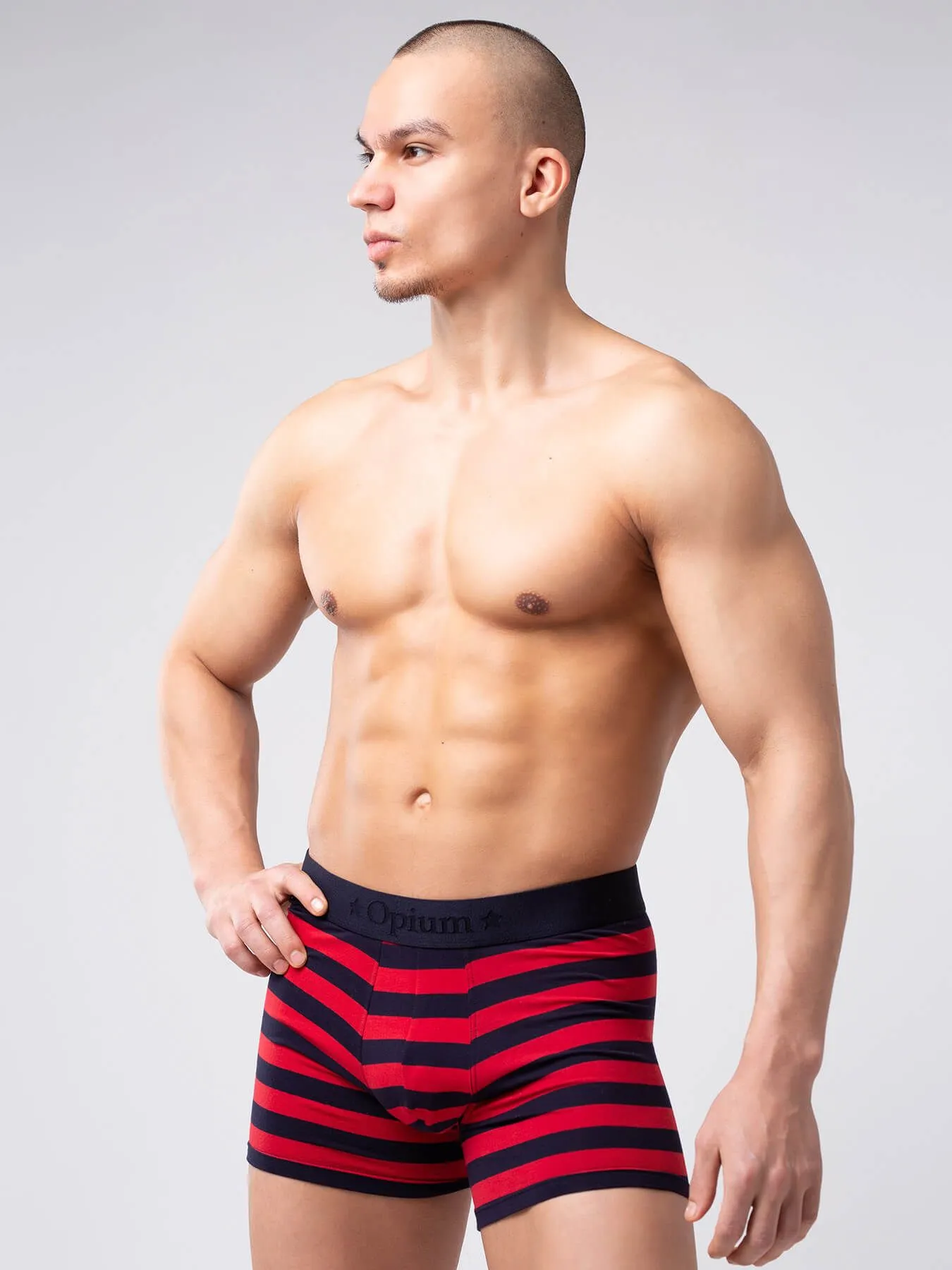 Эротическое трусы мужские удлиненные боксеры opium r126 в полоску в Новом Уренгое