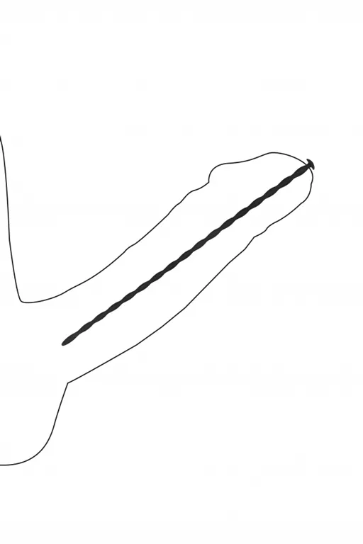 набор из четырех стимуляторов уретры (струн) spiral screw plug set в Новом Уренгое